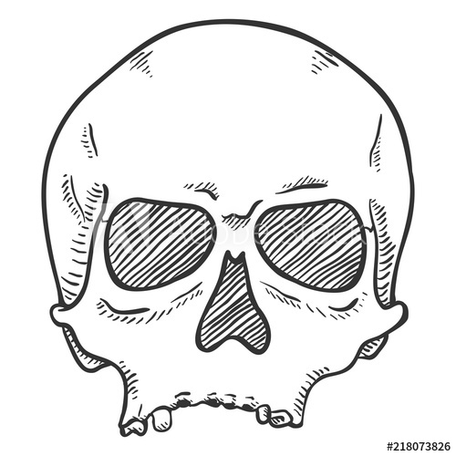 500x500 Vector Single Sketch Illustration