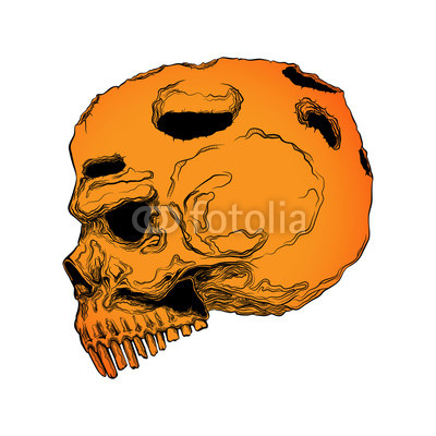 human skull line drawing