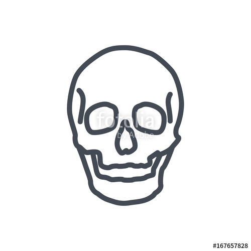 human skull line drawing