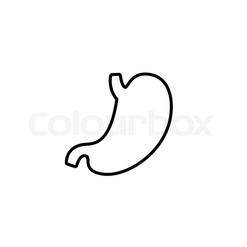 800x800 Flat Vector Human Stomach Icon Stock Vector Colourbox