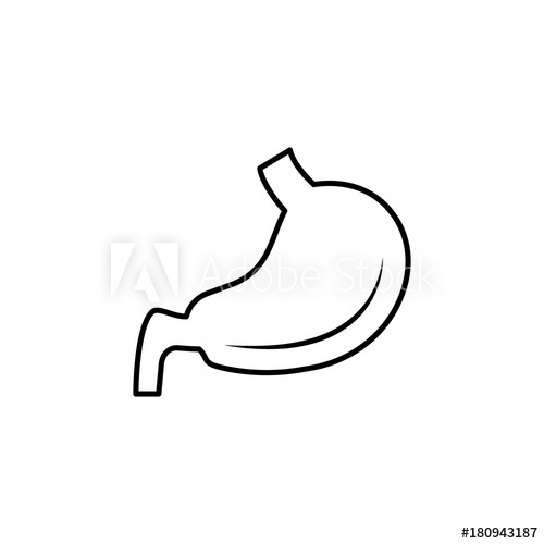 500x500 Stomach Flat Icon Single High Quality Outline Symbol Of Human