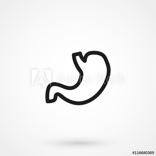 500x500 Human Stomach Icon
