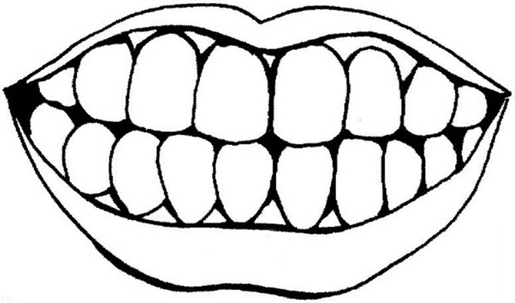 1019x600 Human Anatomy Teeth And Mouth Coloring Pages Bulk Color