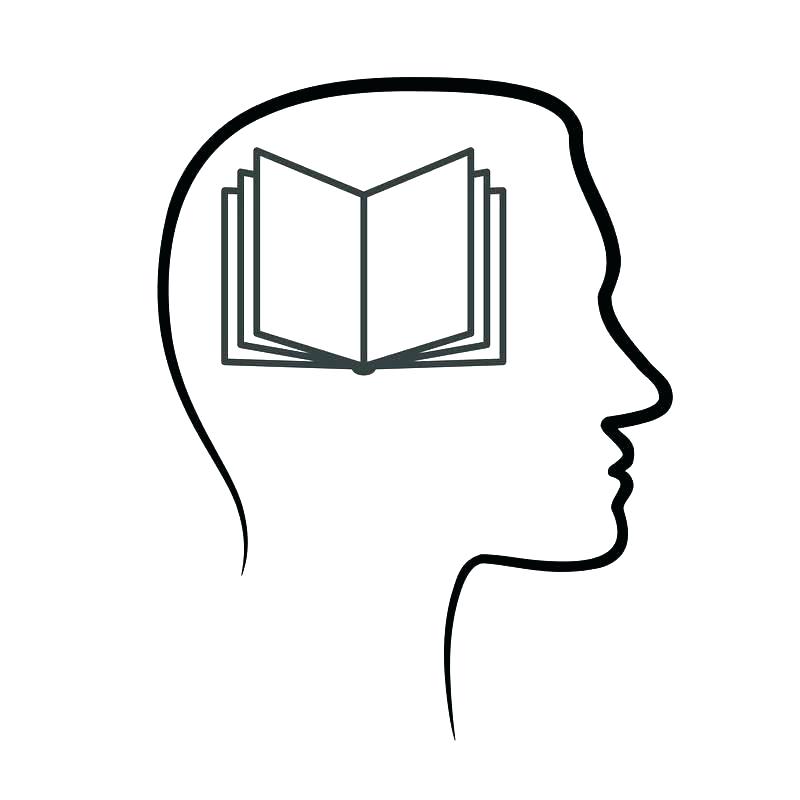 800x800 human head face brain clip art female outline download human head