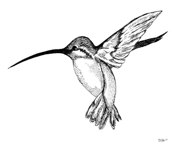 599x494 hummer art print