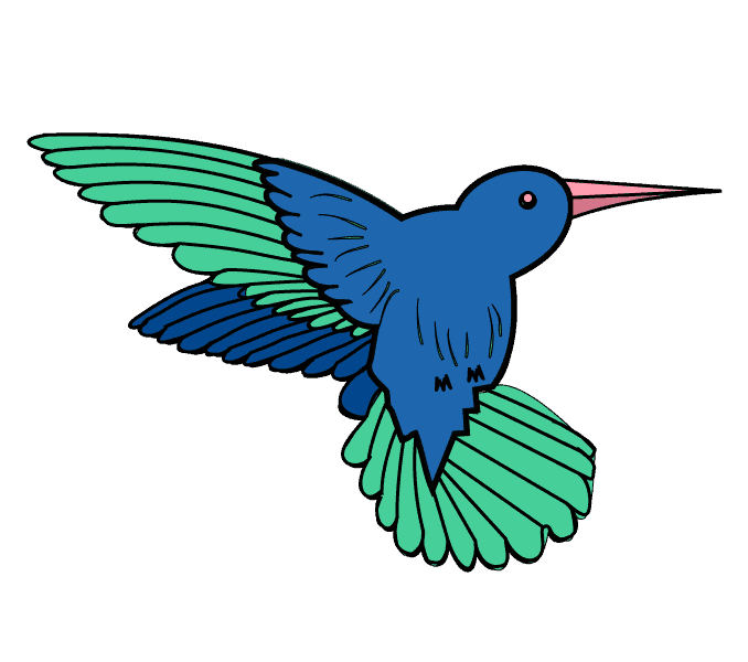 678x600 How To Draw A Hummingbird Easy Step