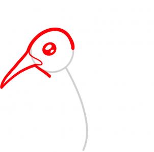 302x297 How To Draw How To Draw A Hummingbird For Kids