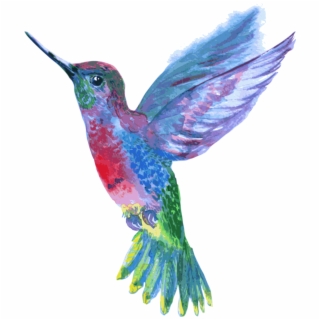 320x320 Hummingbird Drawing Png Download