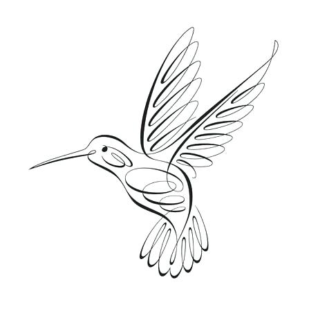 447x450 hummingbird drawing hummingbird drawing simple