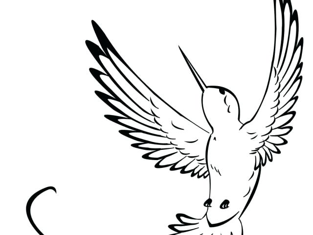 640x480 Hummingbird Outline Bird Outlines Bird Outlines Download Free