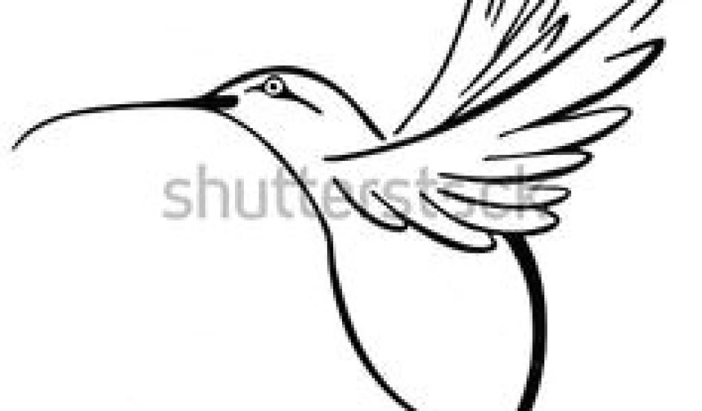 1024x600 drawing a cartoon hummingbird best hummingbird images