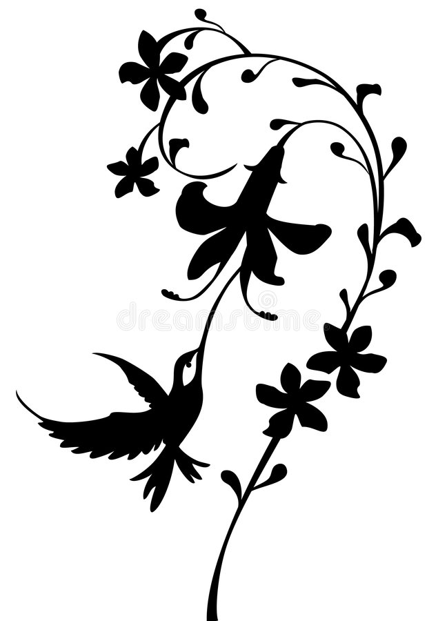 648x900 Hummingbird Drawing Silhouette Clip Art