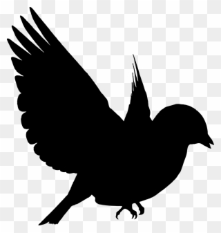 320x337 Hummingbird Silhouette American Crow Drawing