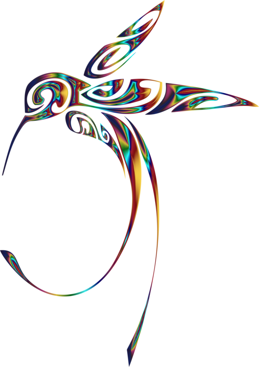 529x750 Line Art Hummingbird Drawing Cc0