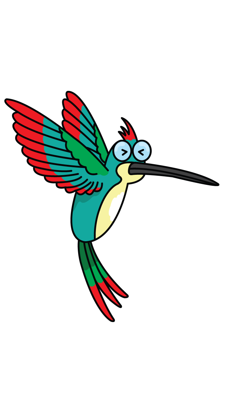 720x1280 Collection Of Free Hummingbird Drawing Download On Ui Ex