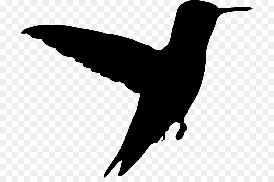 900x600 Drawing, Bird, Silhouette, Transparent Png Image Clipart Free
