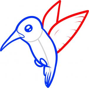 302x297 How To Draw How To Draw A Hummingbird For Kids