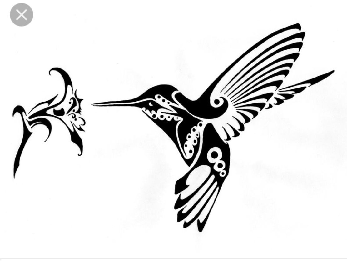 1111x835 Hummingbird Drawing Free Download