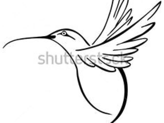 640x480 drawing a cartoon hummingbird best hummingbird images
