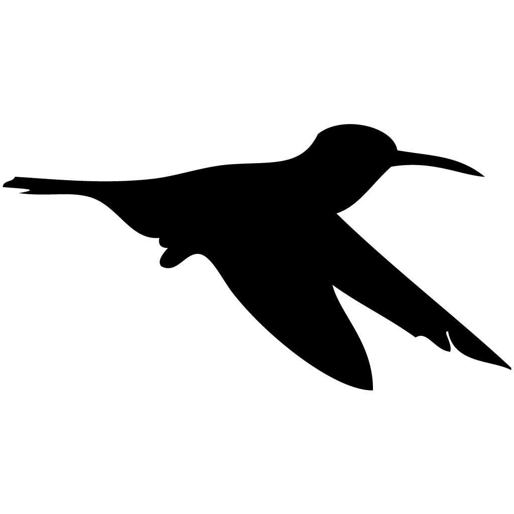 1024x1024 Habitat Drawing Hummingbird Transparent Png Clipart Free