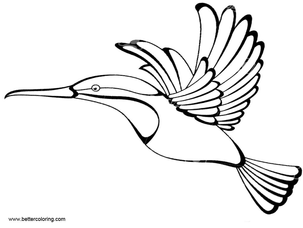 1024x770 Hummingbird Coloirng Pages Hand Drawing