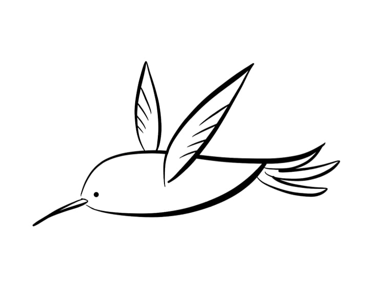 728x563 hummingbird coloring book drawing humming bird cartoon png