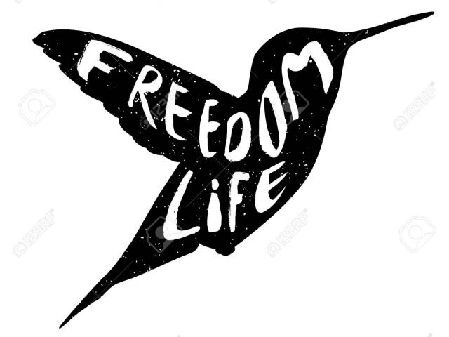 640x480 Hummingbird Drawing Silhouette