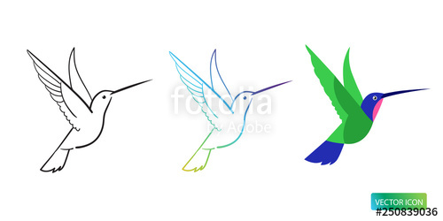 500x250 Hummingbird Icons Or Logo Design Vector Images On White Background