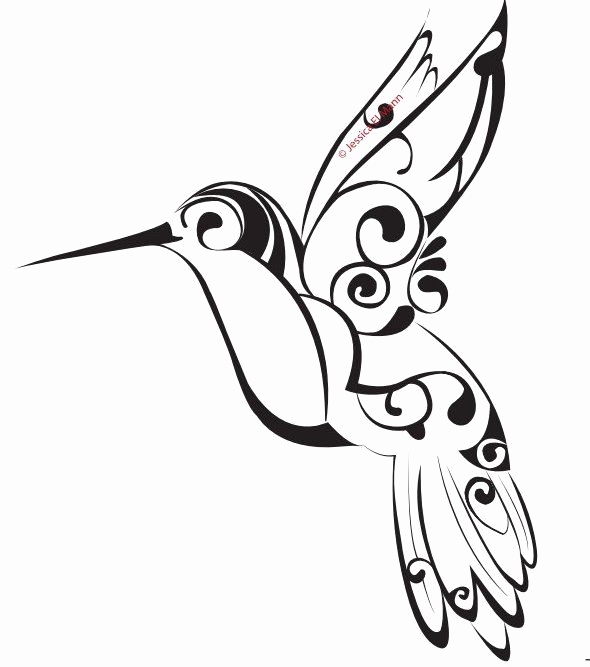590x667 Hummingbird Line Drawing Luxury Google Image Result For Coloring