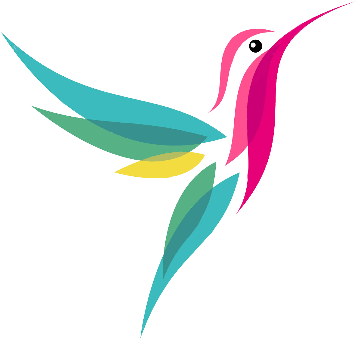 1182x1128 Jamaican Drawing Hummingbird Transparent Png Clipart Free