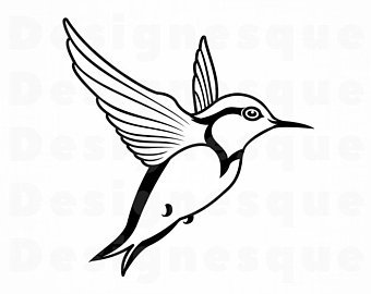 340x270 Hummingbird Vector Etsy