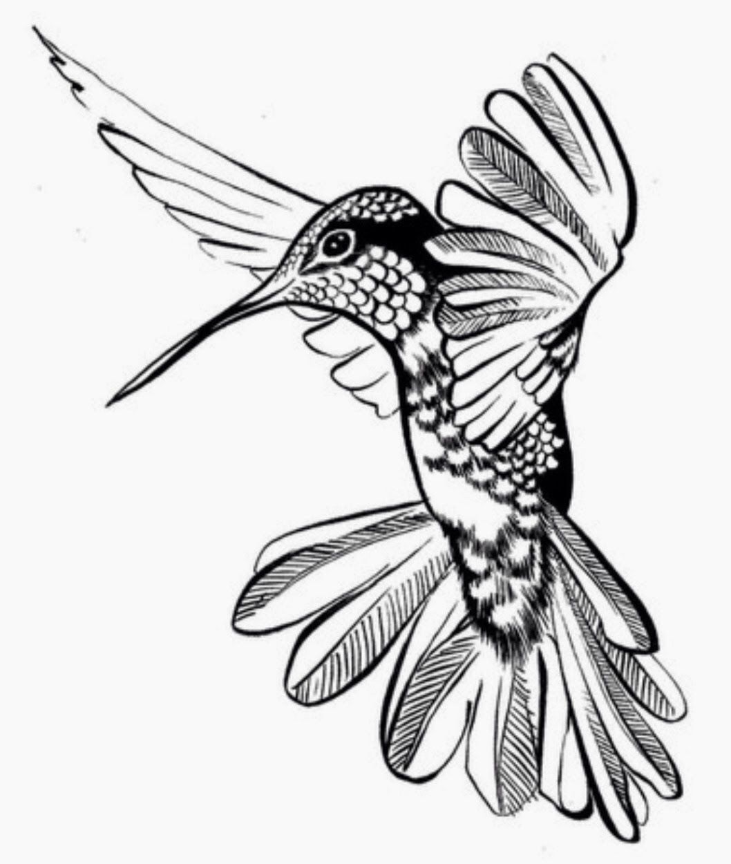 1058x1250 Pin Hummingbird Drawing Outline Tattoo Pictures
