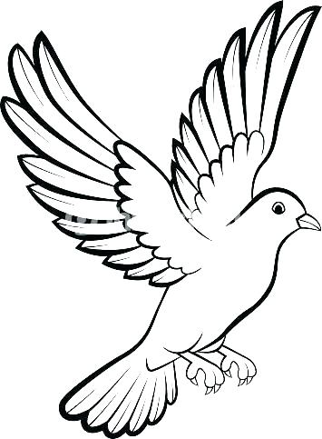 355x483 Bird Outline