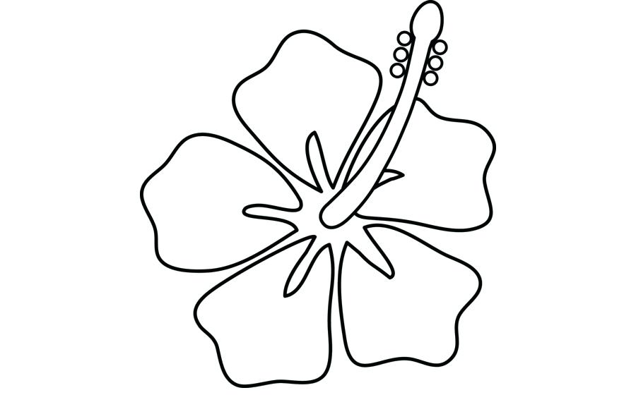 900x560 Hibiscus Flower Outline