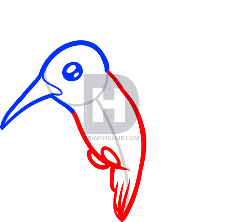 733x720 How To Draw A Hummingbird For Kids, Step
