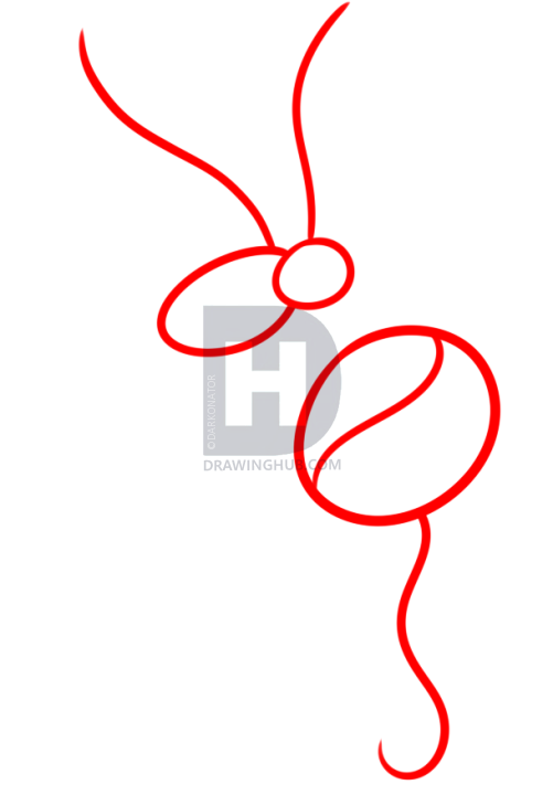 501x720 How To Draw A Hummingbird Tattoo, Step