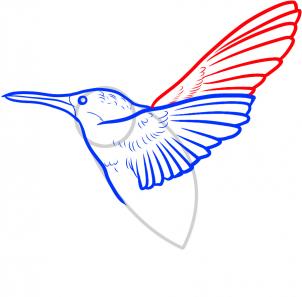302x297 How To Draw A Hummingbird, Step