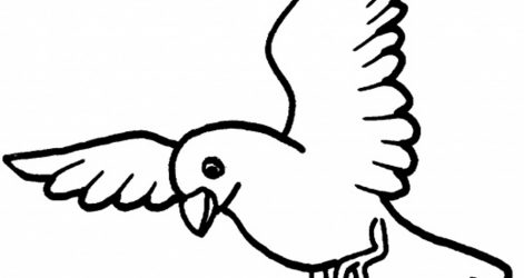 471x250 How To Make A Bird Drawing Step