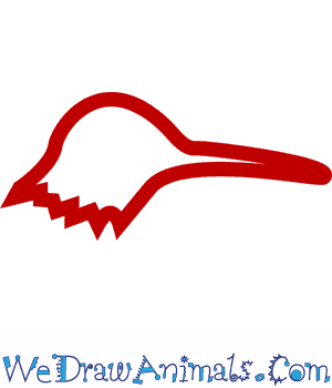 300x350 how to draw a ruby throated hummingbird