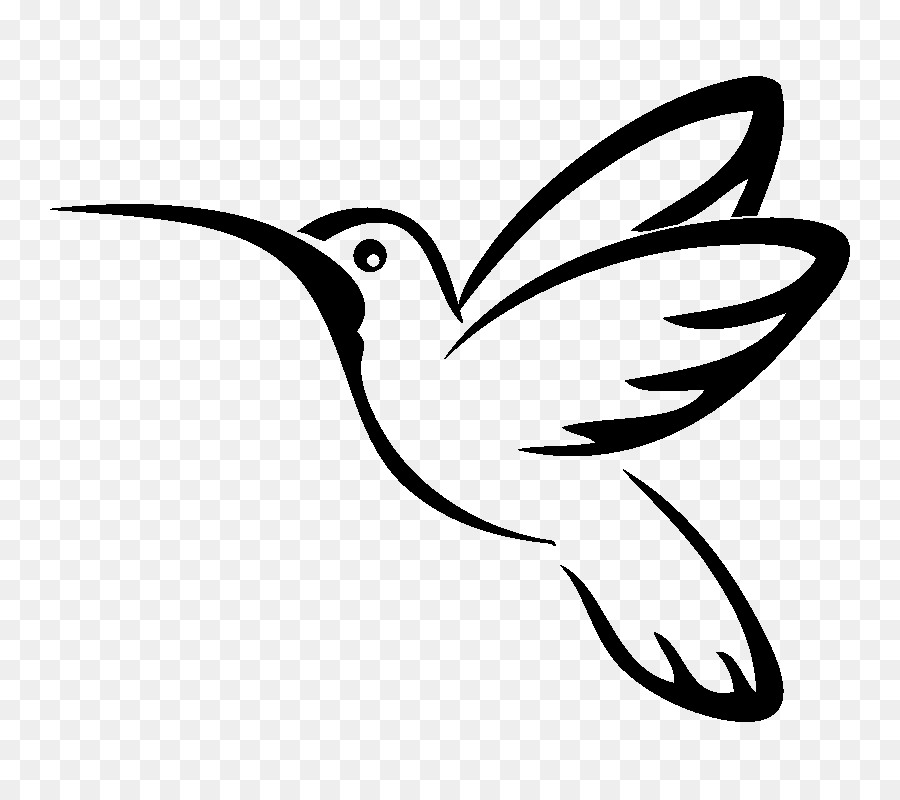 900x800 Huge Collection Of 'hummingbird Drawing' Download More Than