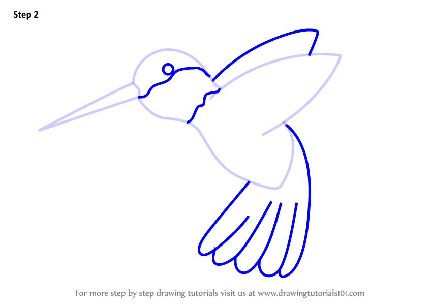 848x602 Learn How To Draw A Hummingbird For Kids