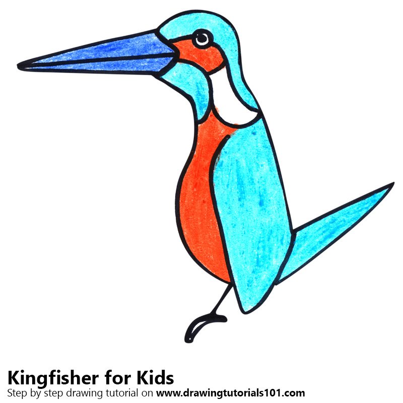 800x800 Learn How To Draw A Kingfisher For Kids