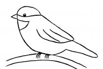 210x140 Tag Hummingbird Drawing Easy