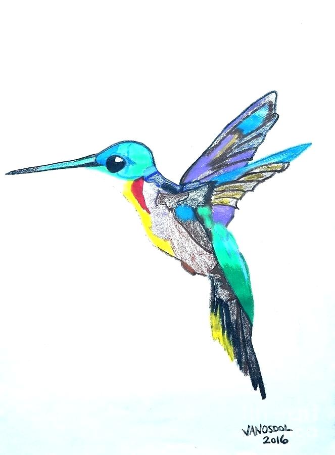 663x900 Drawing Of A Hummingbird