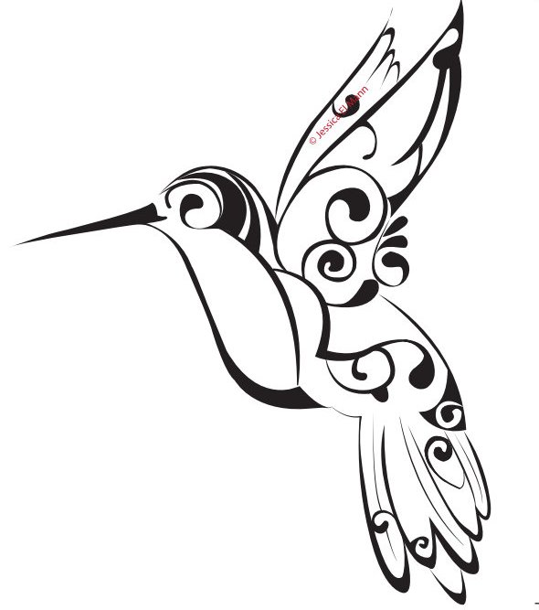 Hummingbird Drawings In Pencil