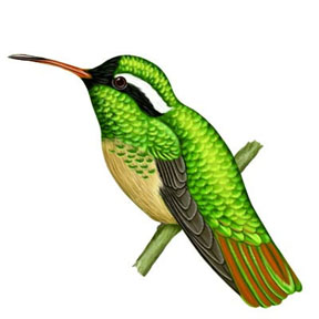 288x288 Easy Drawings For Me To Master