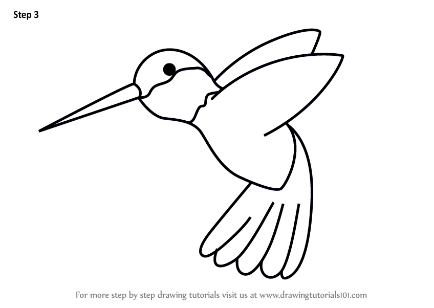 848x602 Huge Collection Of 'hummingbird Drawing Easy' Download More Than