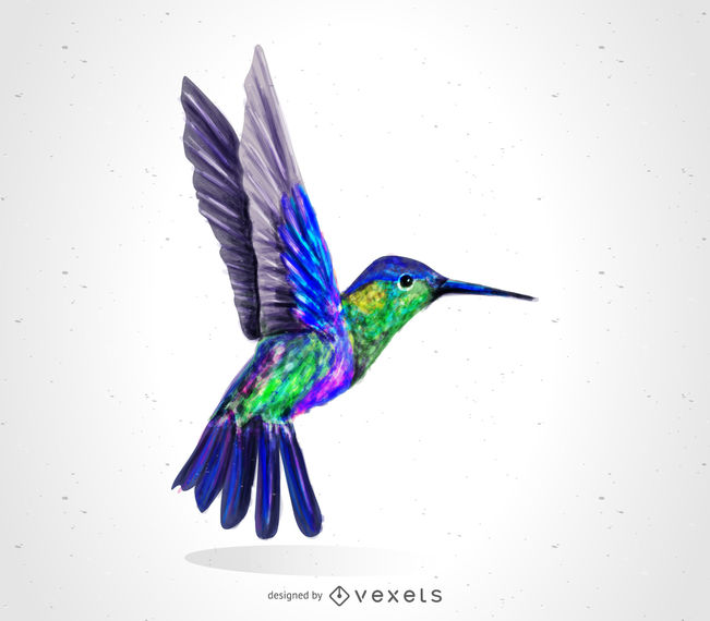 651x570 Hummingbird Bird Drawing