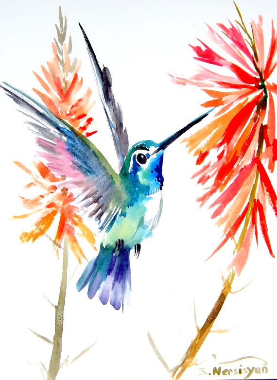 570x782 Hummingbird Original Watercolor Painting X