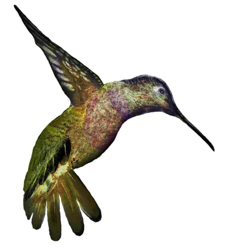 794x840 Sloth And Hummingbirds Pencil Drawing Print Original Drawing Etsy